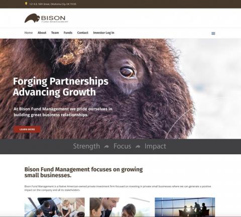 Bison Fund Management - Website